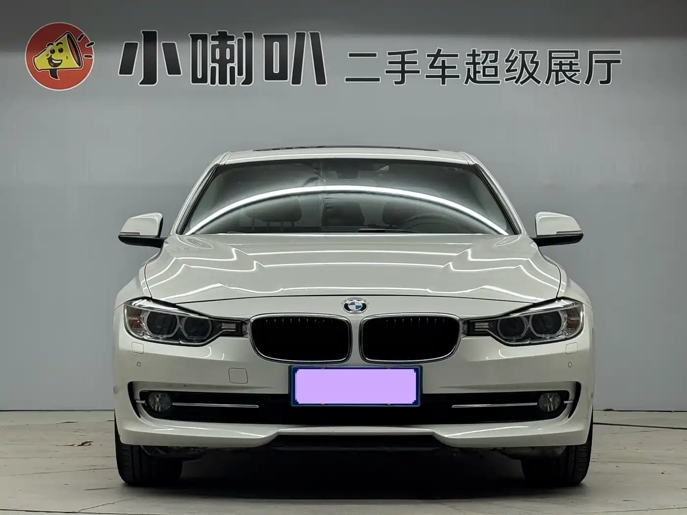 BMW 3 Series 2015 316Li Fashion фото 3