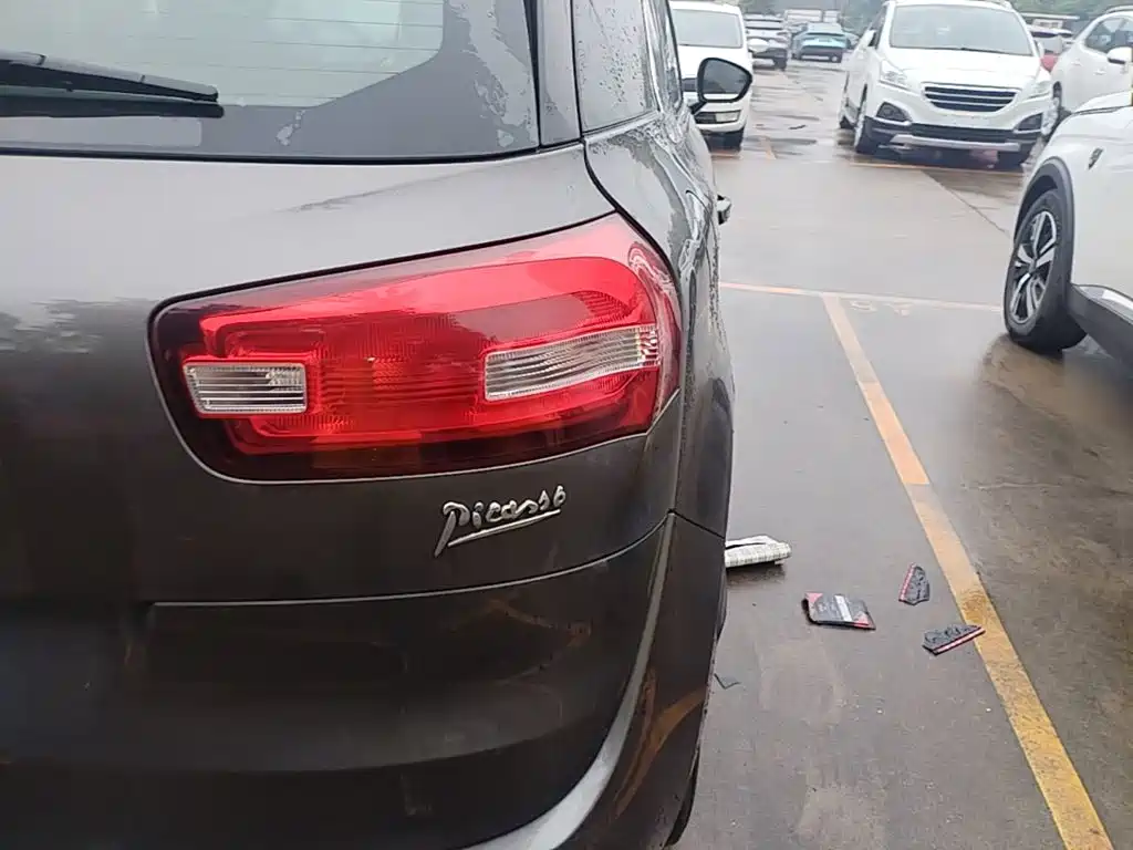 Фото 8 - Citroën C4 Picasso