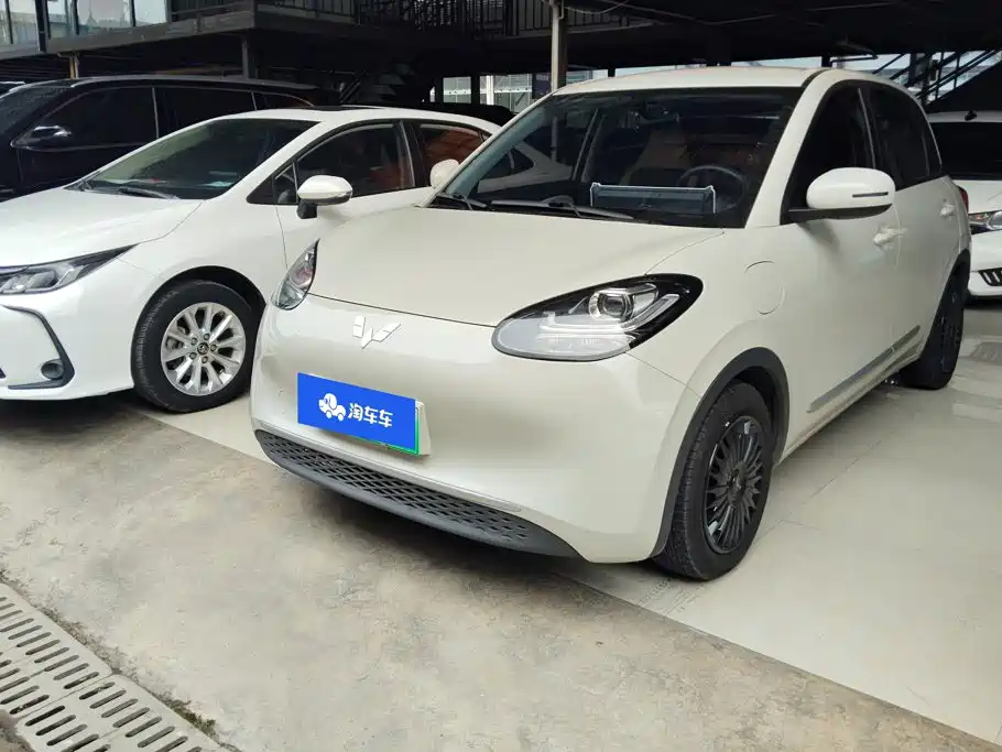 Wuling Motors Wuling Bingo 2023 333km Quick Enjoy Version