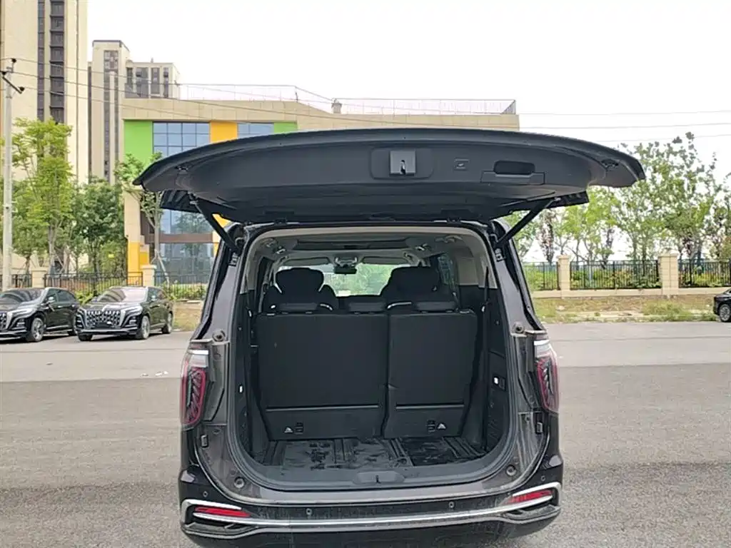 Hongqi HQ9 PHEV 2024 Model 2.0T AWD Business Edition фото 19