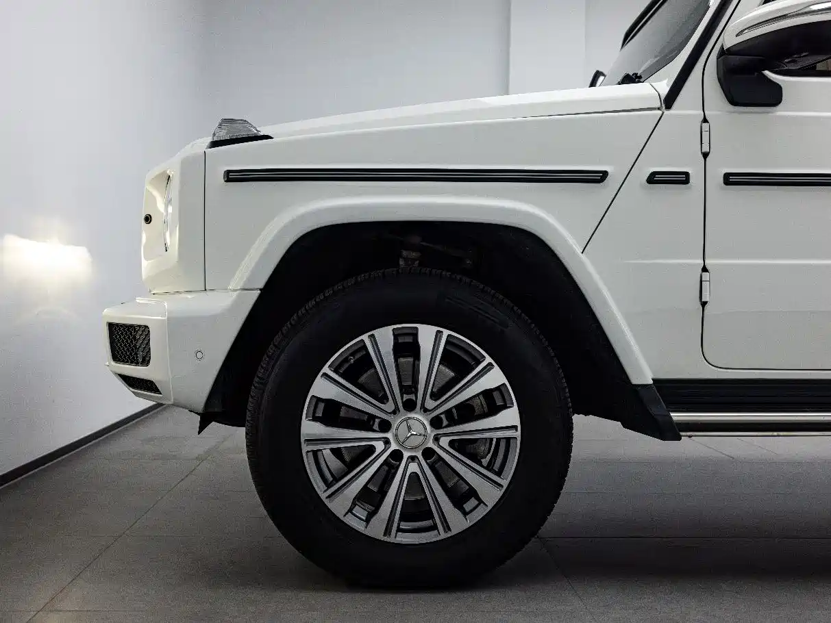 Mercedes-Benz G-Class 2023 G 350 фото 6