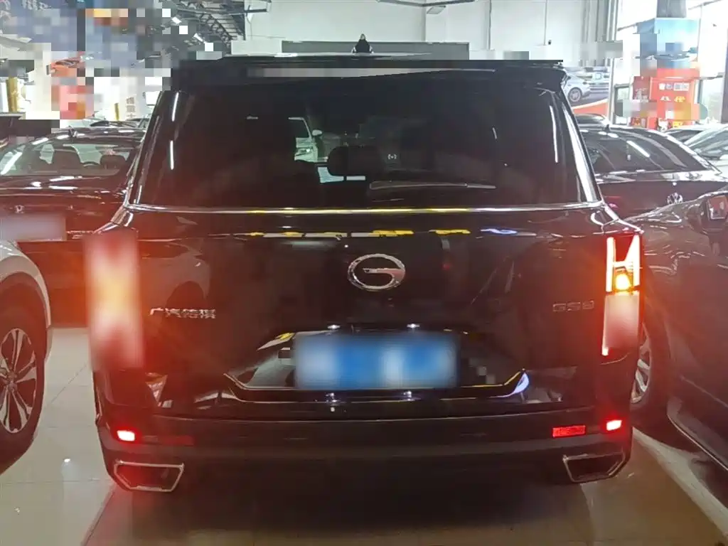 GAC Trumpchi Trumpchi GS8 2024 Navigator Series 2.0TGDI 2WD Luxury Smart Connect Edition фото 6