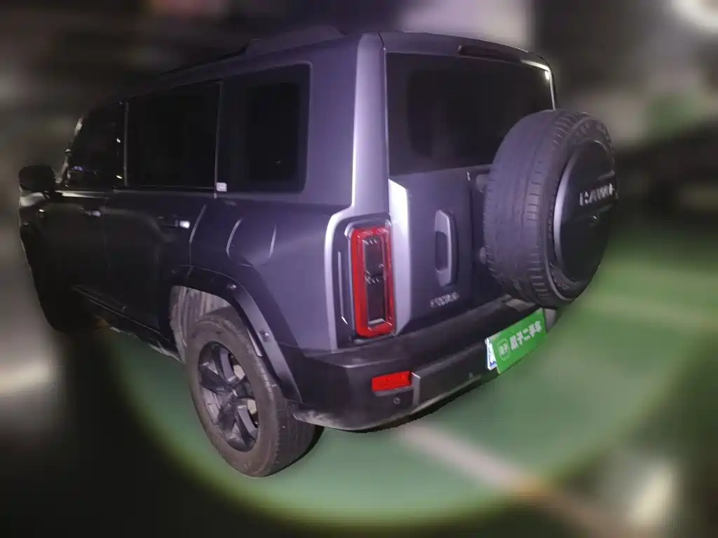 Haval Menglong 2025 2025 2.0T 4WD Pro