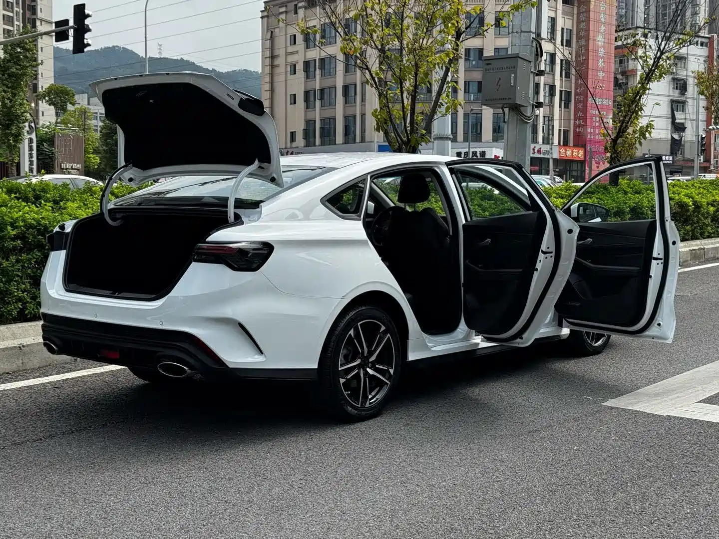 Photo 27 - Geely Binrui