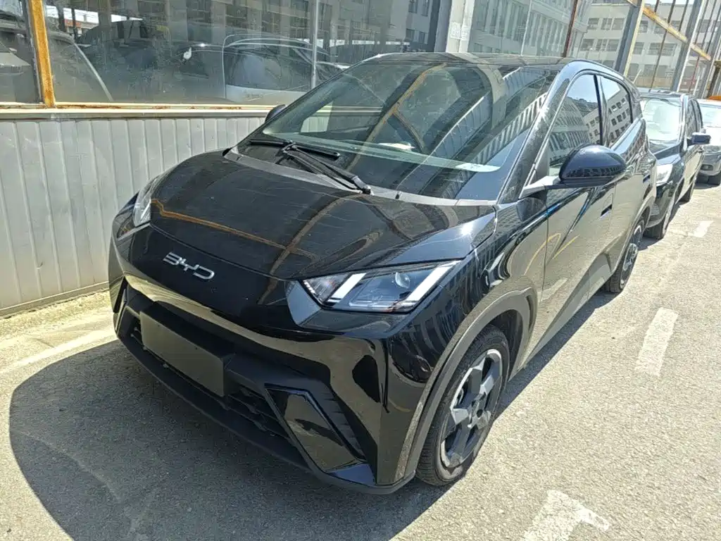 BYD Seagull 2023 Freedom Edition