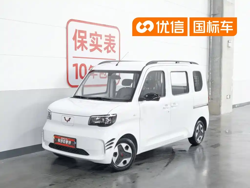 Wuling Motors Wuling Zhiguang NEV 2025 Model 305km Base Version