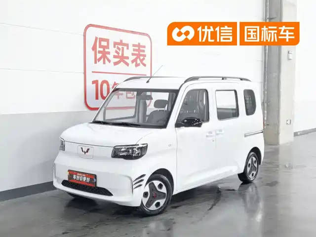  Wuling Motors Wuling Zhiguang NEV 2025 Model 305km Base Version