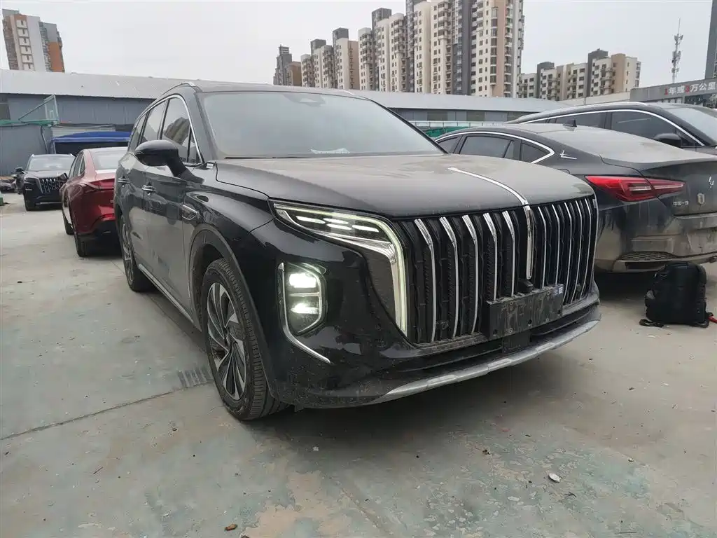 Hongqi HS7 PHEV 2024 2.0T PHEV 4WD Flagship Edition 6-seater фото 22