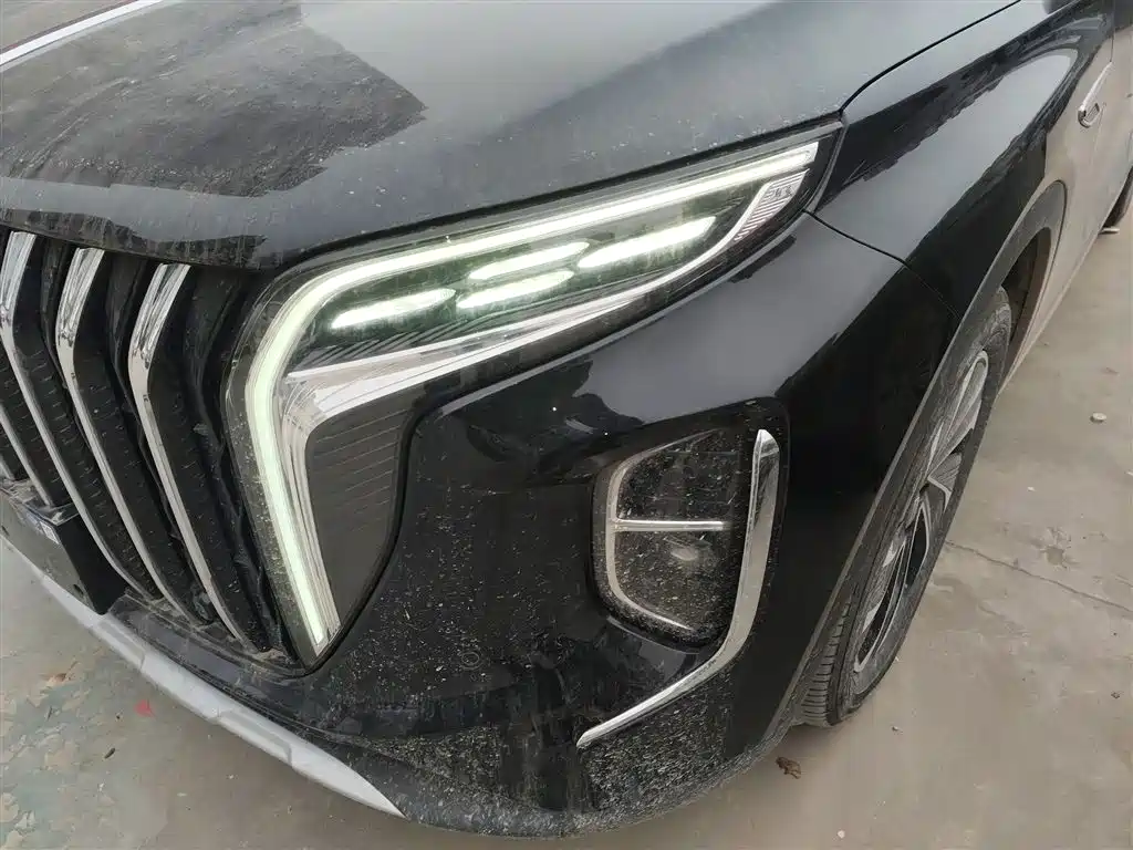 Hongqi HS7 PHEV 2024 2.0T PHEV 4WD Flagship Edition 6-seater фото 18