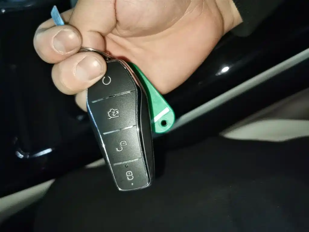 BYD Qin PLUS 2024 Glory Edition DM-i 55KM Leading фото 9