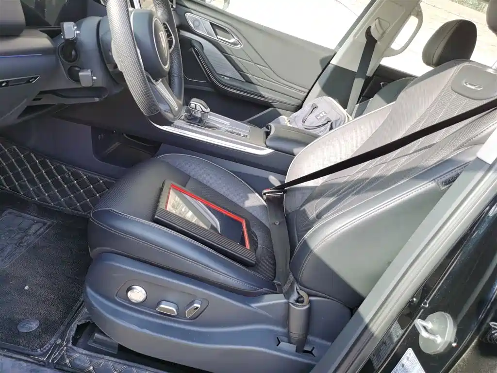 Hongqi HS7 PHEV 2024 2.0T PHEV 4WD Flagship Edition 6-seater фото 7