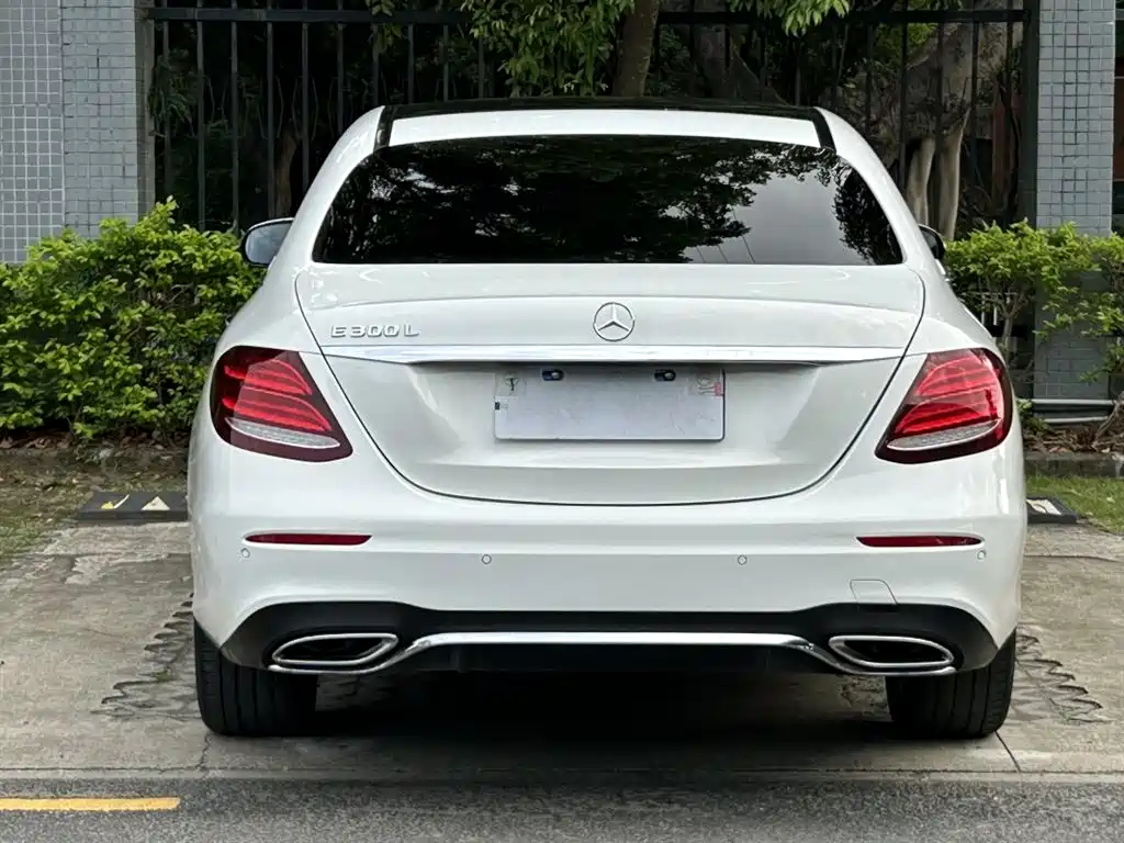 Mercedes-Benz E-Class 2019 E 300 L Sport Luxury фото 6