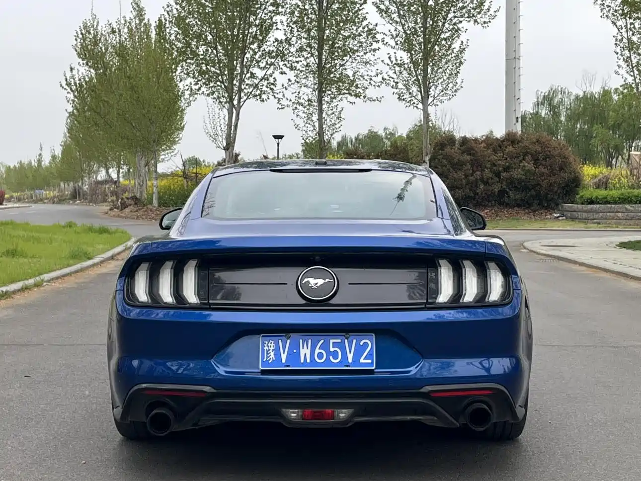 FORD MUSTANG