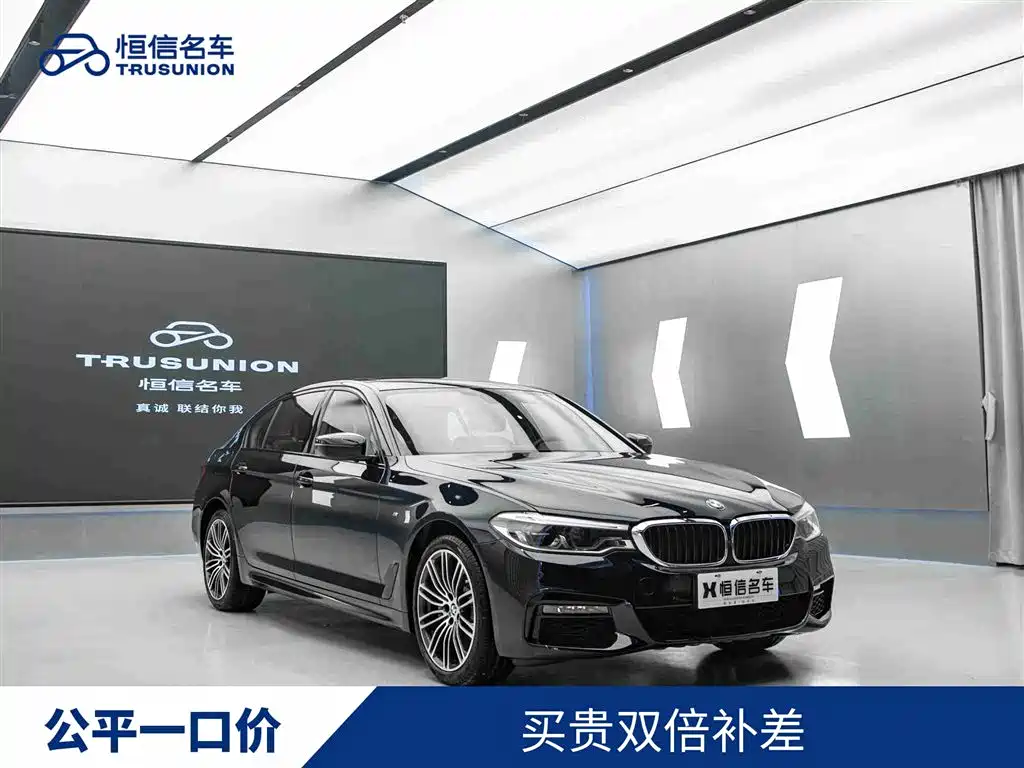 BMW 5 Series 2019 530Li Leading M Sport Package