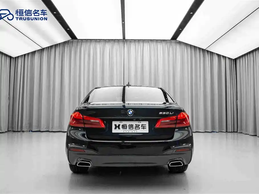 BMW 5 Series 2019 530Li Leading M Sport Package фото 6