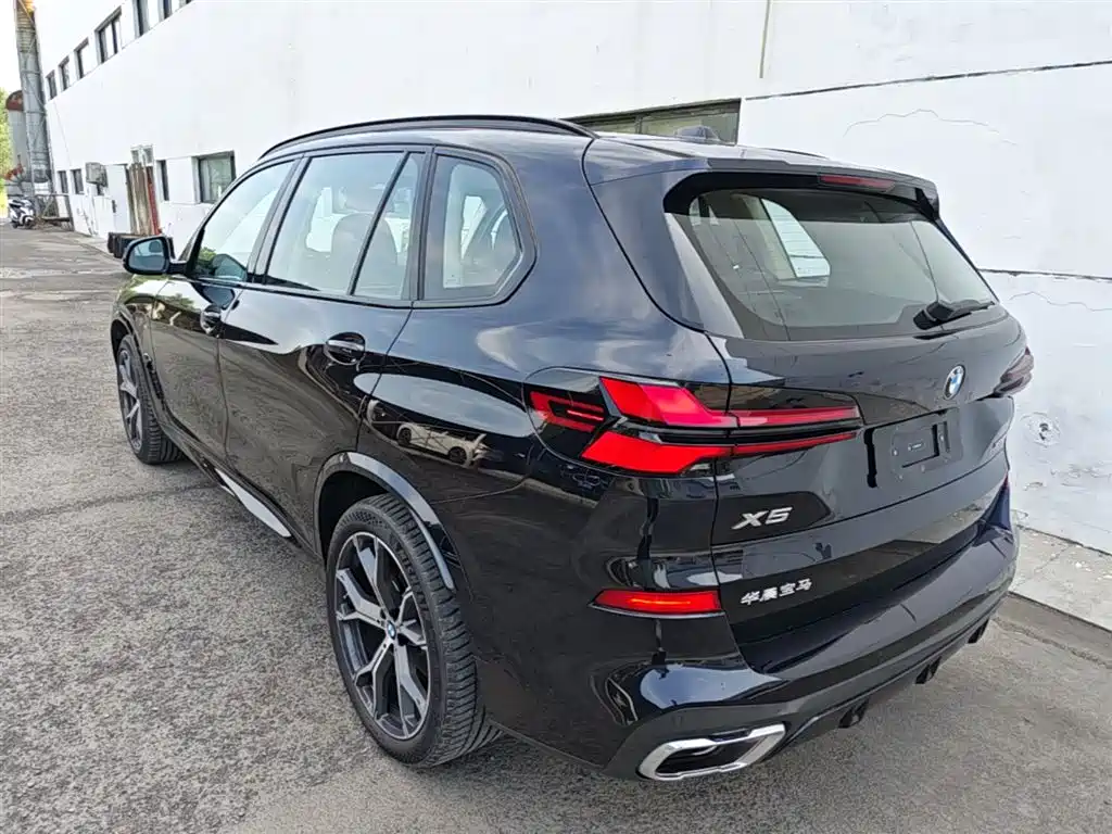 BMW X5 2023 xDrive 30Li Premium M Sport Black Night Package фото 5