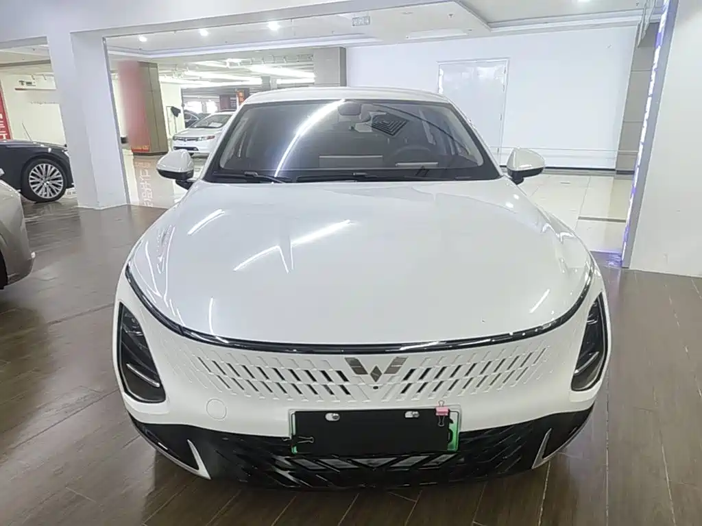 2026 Wuling Motors Wuling Xingguang
