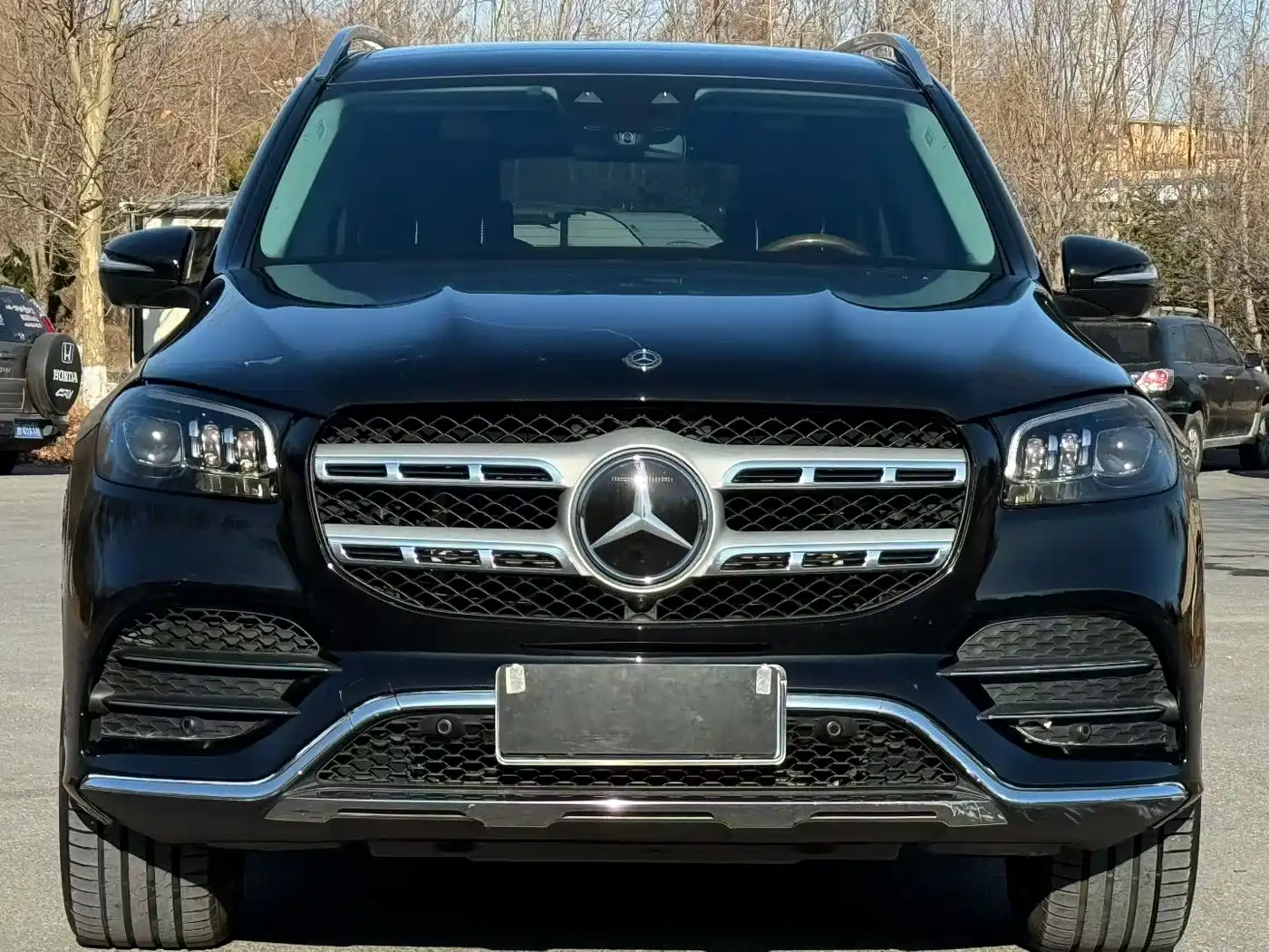 Mercedes-Benz GLS 2022 GLS 450 4MATIC Luxury фото 2