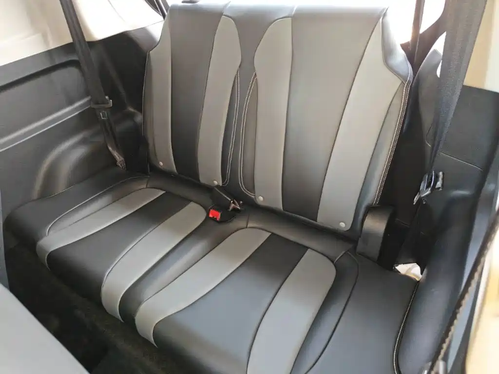Roewe Kaiwei CLEVER 2023 2022 311km Vitality Bobo Edition