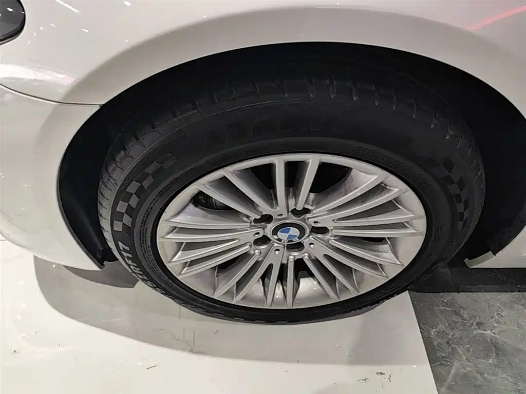 BMW 5 Series 2014 525Li Leading фото 23