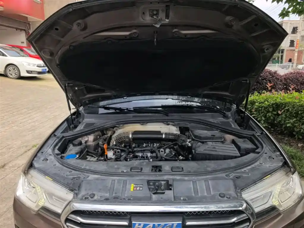 Haval H7 2016 Blue Label H7 2.0T Automatic Luxury фото 20