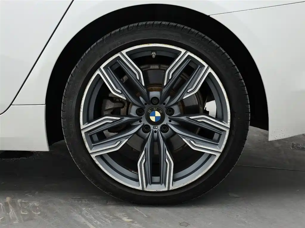 BMW 5 Series 2018 530Li Leading Luxury Package фото 9