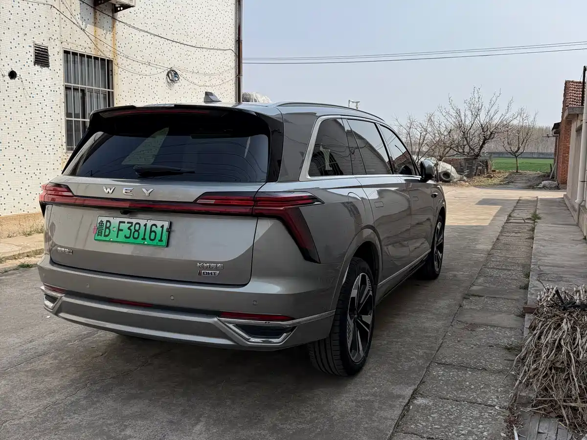 WEI PAI WEI BRAND BLUE MOUNTAIN