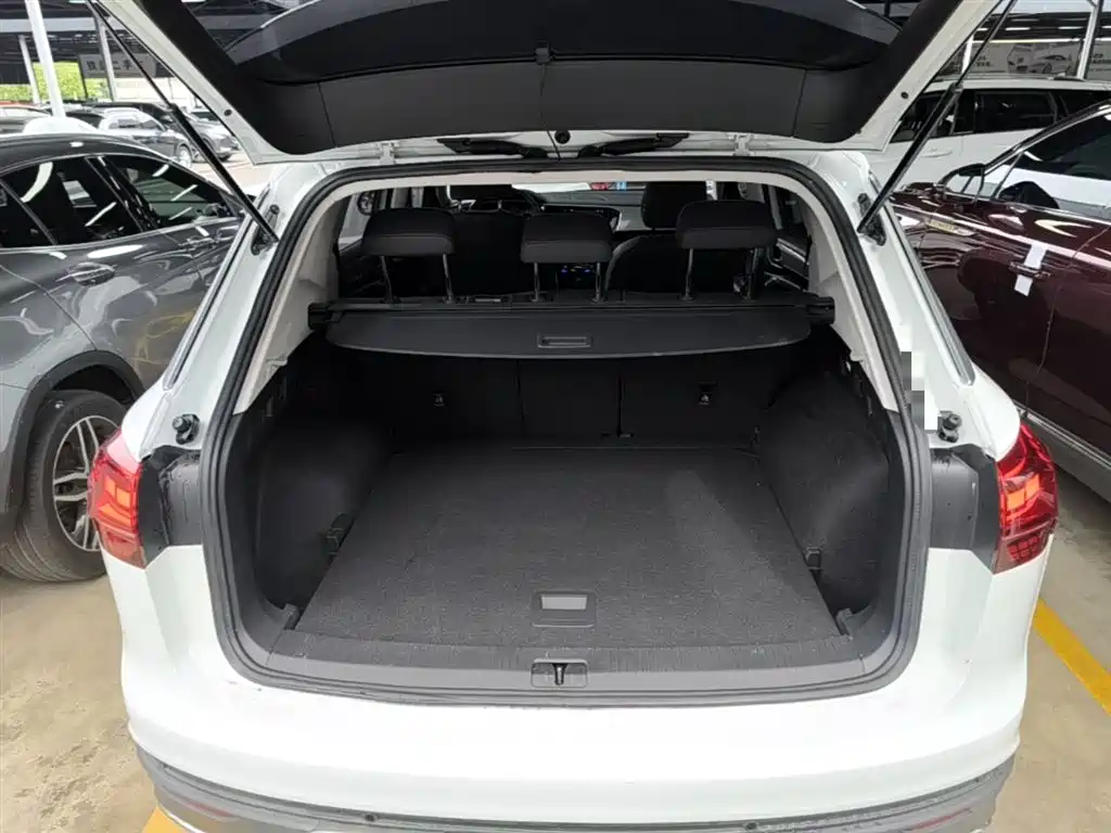 VOLKSWAGEN TANYUE