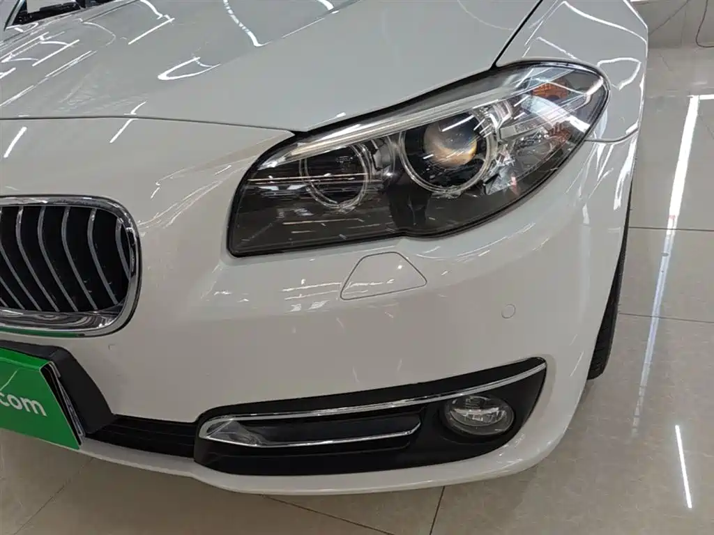 BMW 5 Series 2014 525Li Luxury Design Package фото 24