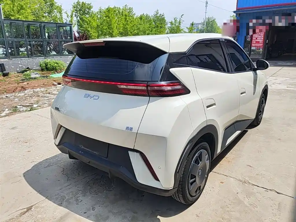 BYD Seagull 2024 Glory Edition 305km Vitality Edition фото 7