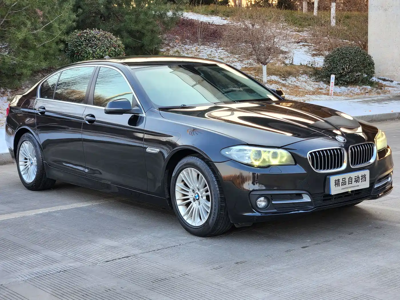 BMW 5 Series 2014 525Li Leading фото 6