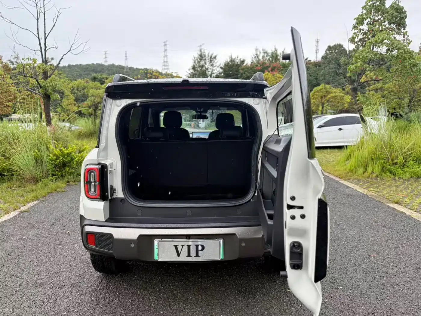Baojun Yueye Plus 2025 2026 301km Flagship