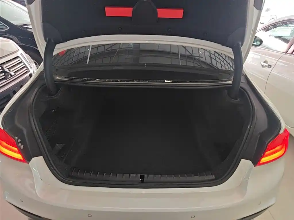 BMW 5 Series 2019 530Li Leading M Sport Package фото 19