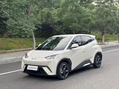 BYD Seagull