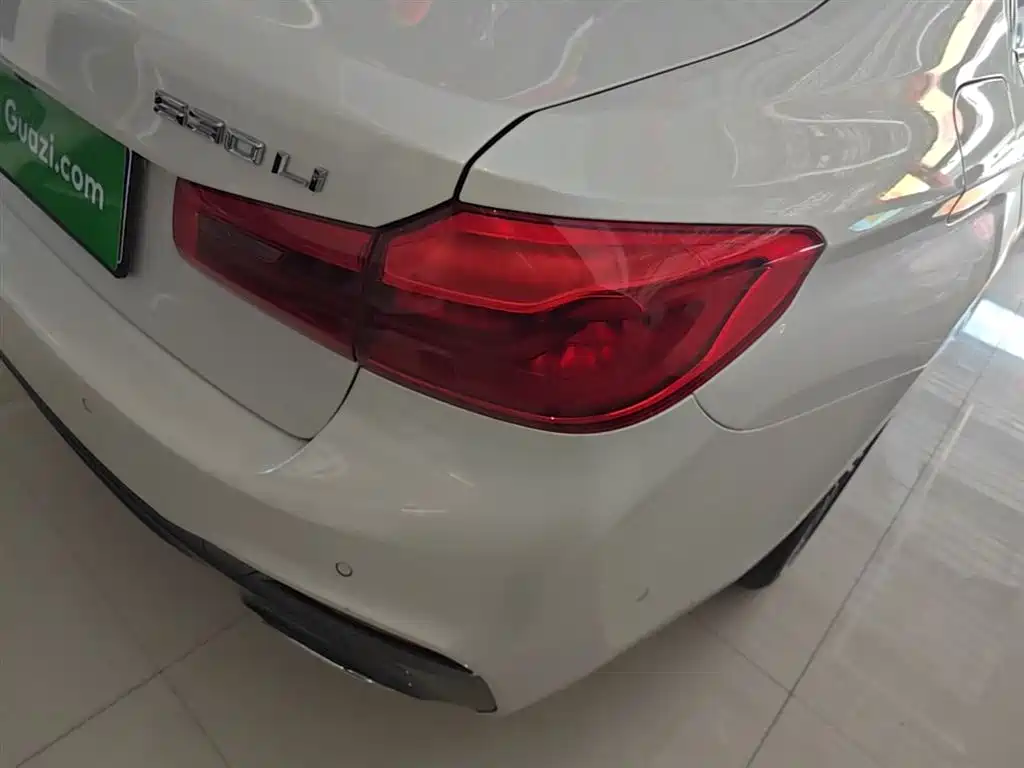 BMW 5 Series 2019 530Li Leading M Sport Package фото 8