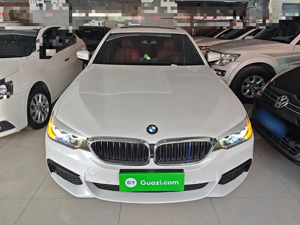 BMW 5 Series 2019 530Li Leading M Sport Package фото 3