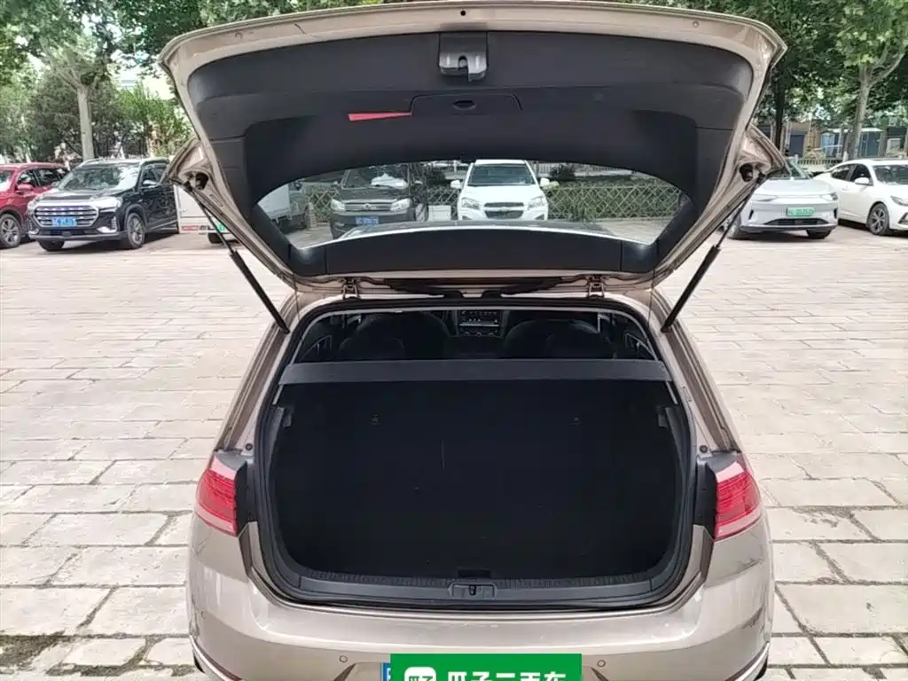 Volkswagen Golf 2019 200TSI DSG Comfort Progressive China VI фото 19