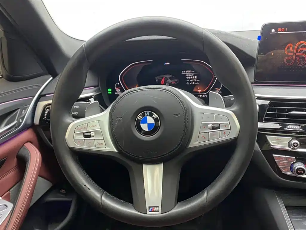 BMW 5 Series 2023 530Li Leading M Sport Package фото 15
