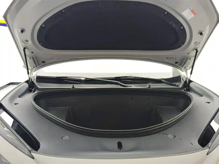 BYD SEA LION 06 NEW ENERGY