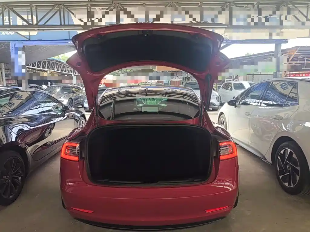 Tesla Model 3 2020 2019 Standard Range Rear-Wheel Drive Upgrade