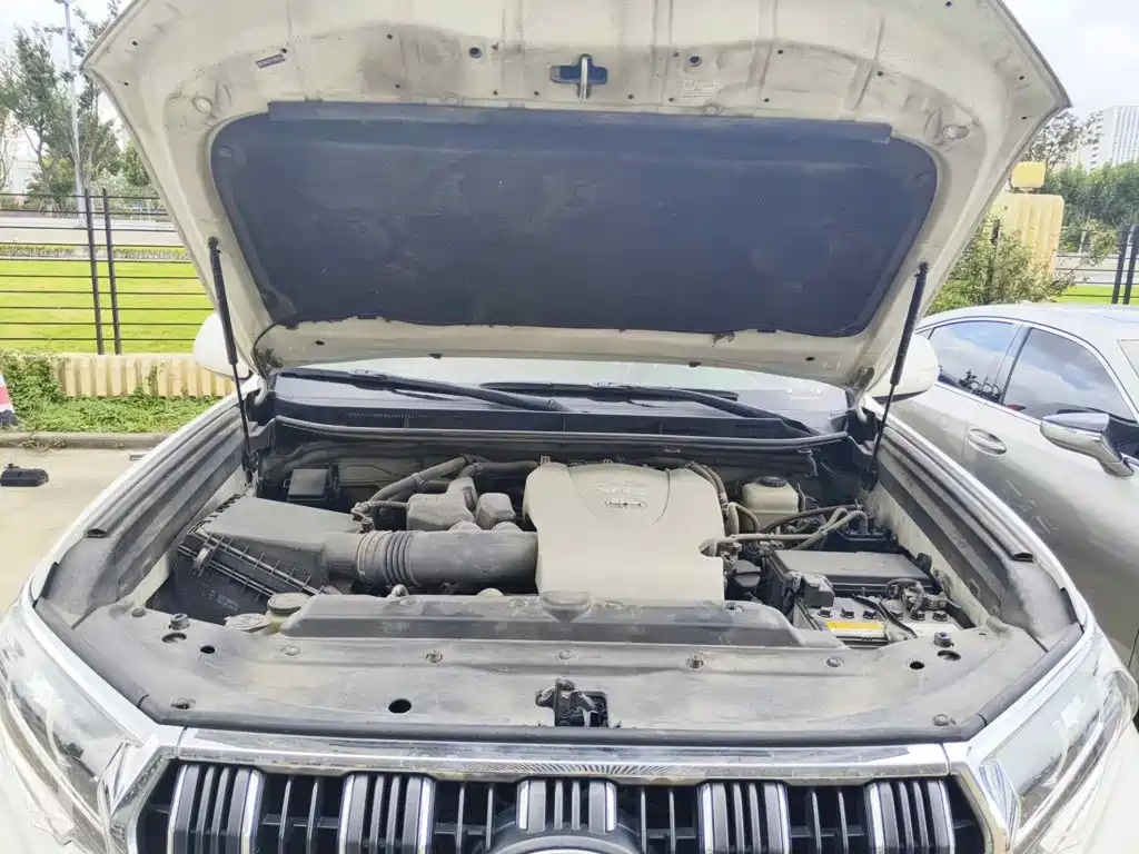 Toyota Prado 2019 2018 3.5L Automatic TX-L NAVI Rear-mounted Spare Tire