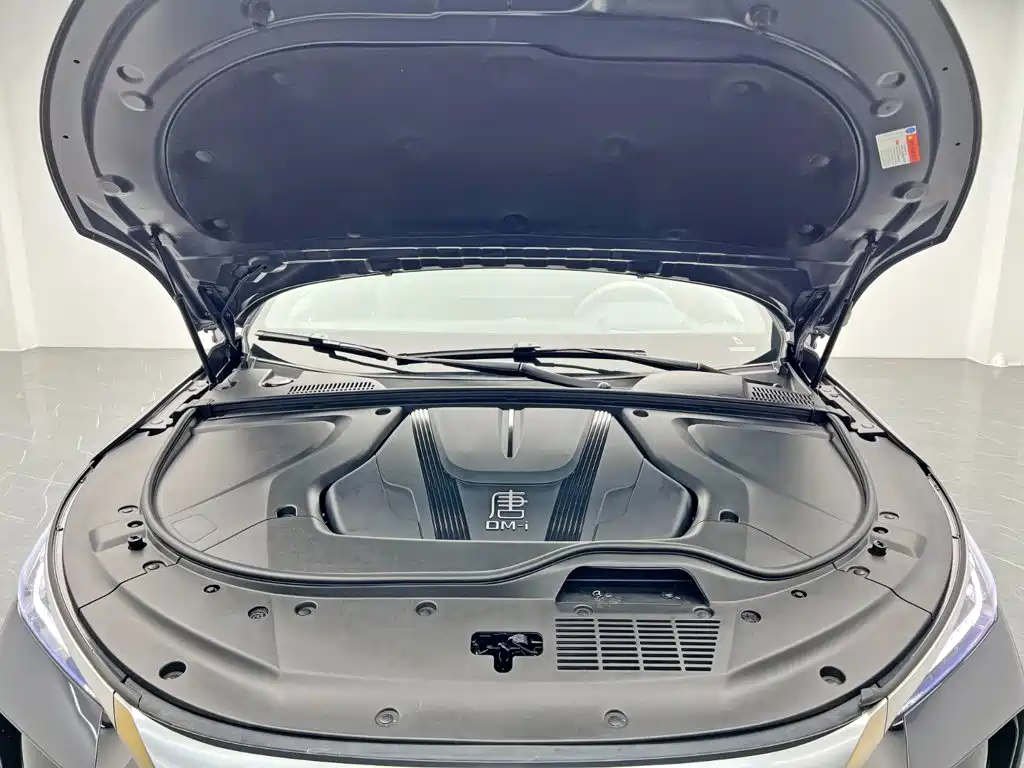 صورة 27 - BYD Tang New Energy