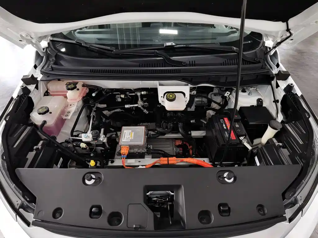 BYD Yuan Pro 2024 2023 401KM Luxury