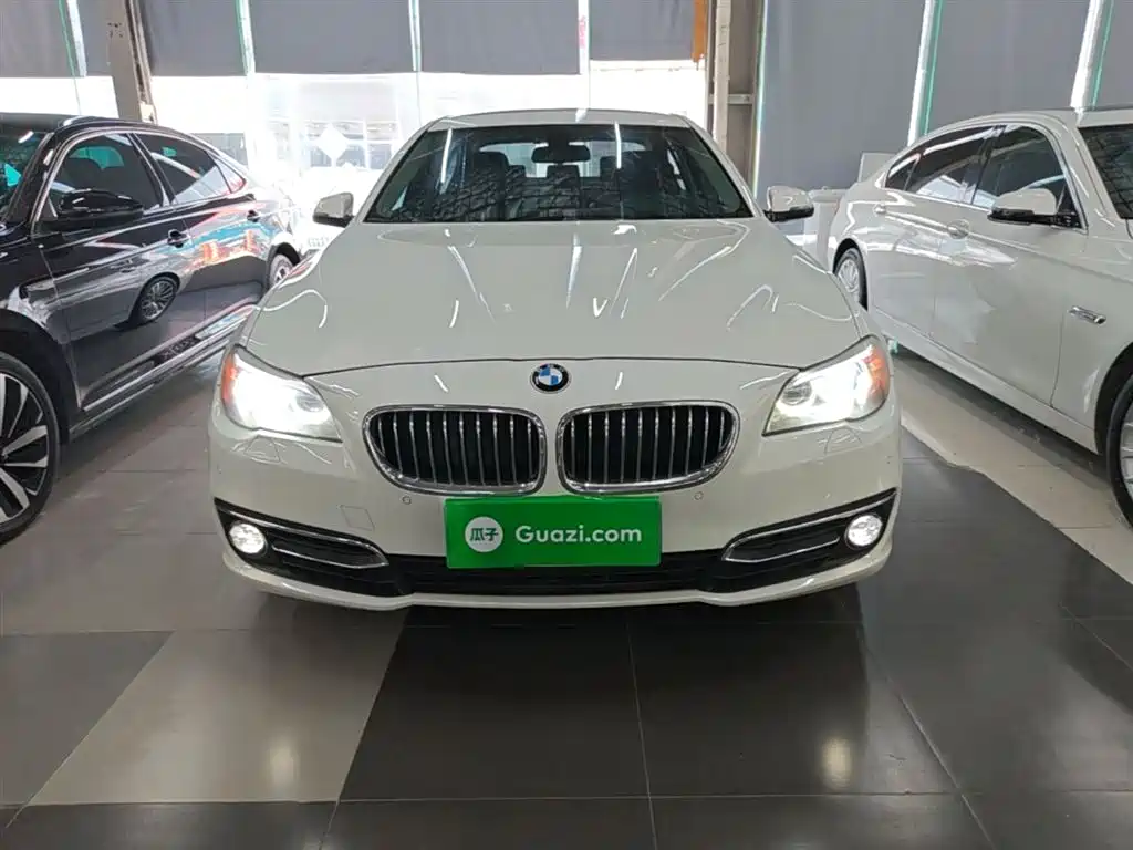 BMW 5 Series 2014 525Li Luxury Design Package фото 3
