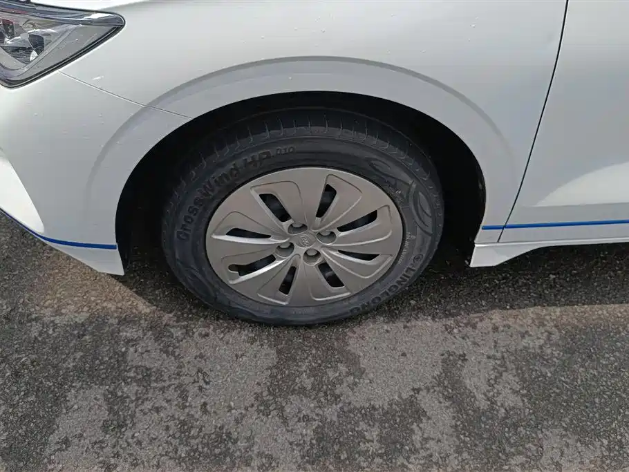 BYD e2 2020 Upgrade Standard Range Standard Model фото 6