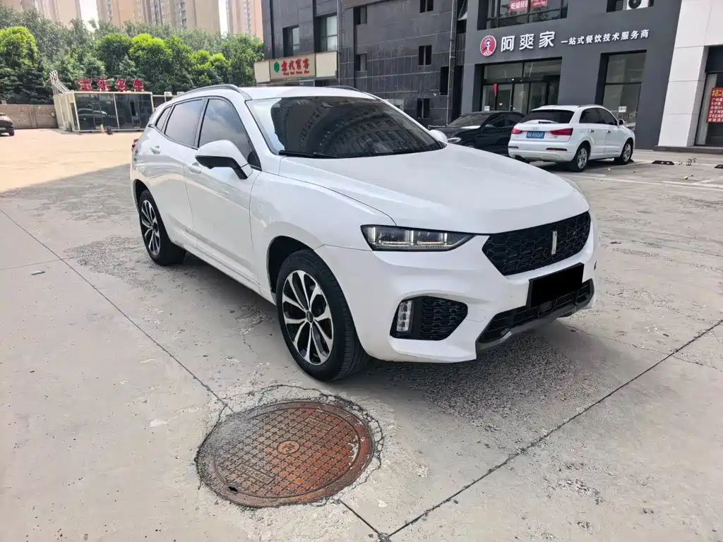 WEY VV7 2020 2019 Upgrade 2.0T Super Deluxe China V