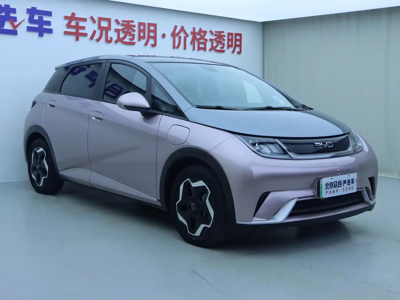 BYD Dolphin 2021 Model 405km Fashion Edition фото 2