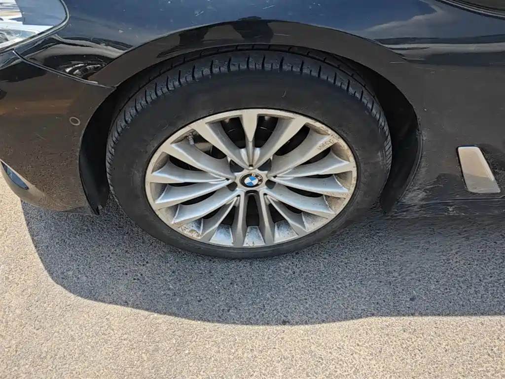 BMW 5 Series 2019 Facelift 525Li Luxury Package фото 23