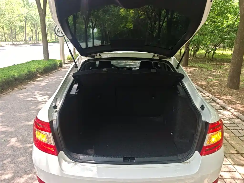 Škoda Octavia 2017 1.6L Manual ChuangXing фото 19