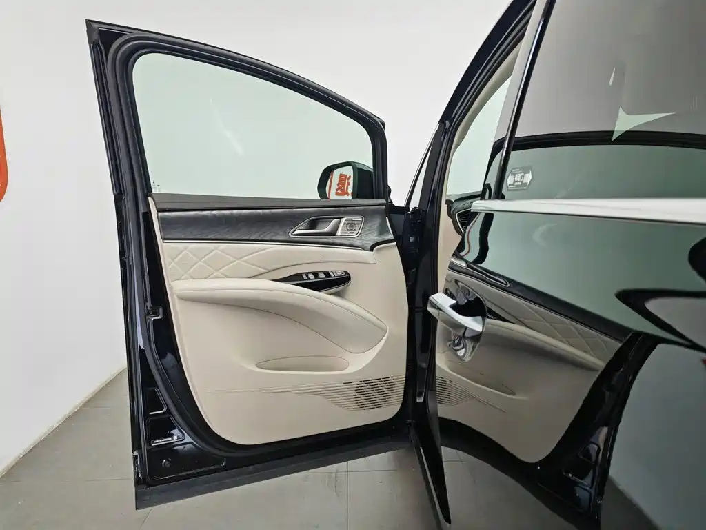 Denza D9 2025 2024 DM-i 1050 Premium